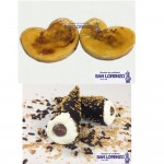 PASTELES FIN DE SEMANA 15-16-17 ABRIL 2016