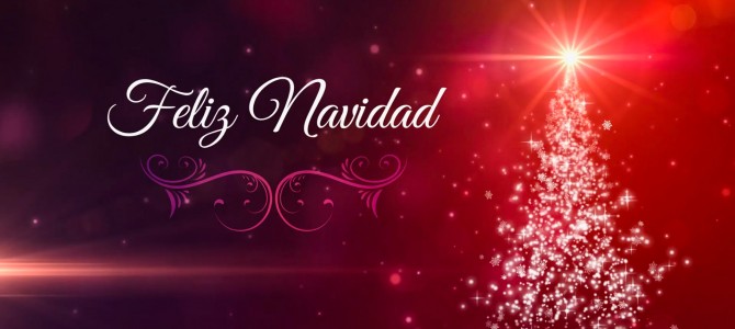 ¡FELICES FIESTAS!
